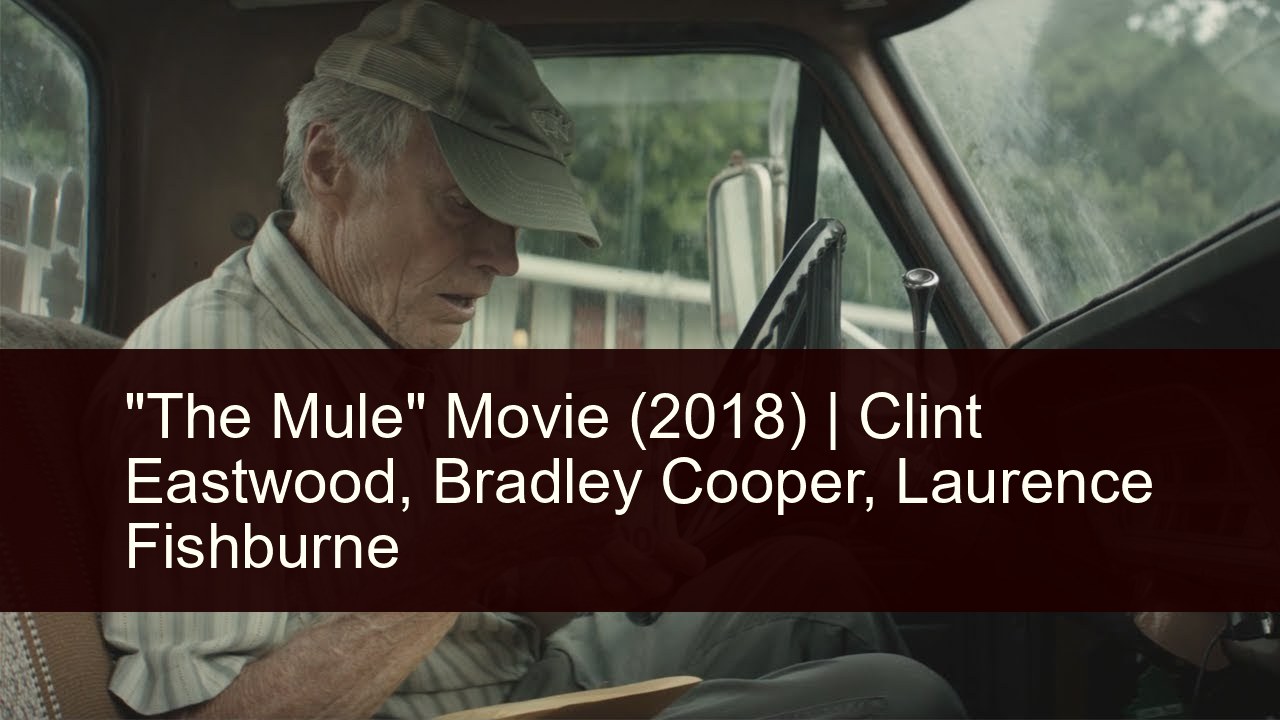 "The Mule" Movie 2018 Overview: Trailer, Cast, Plot ...